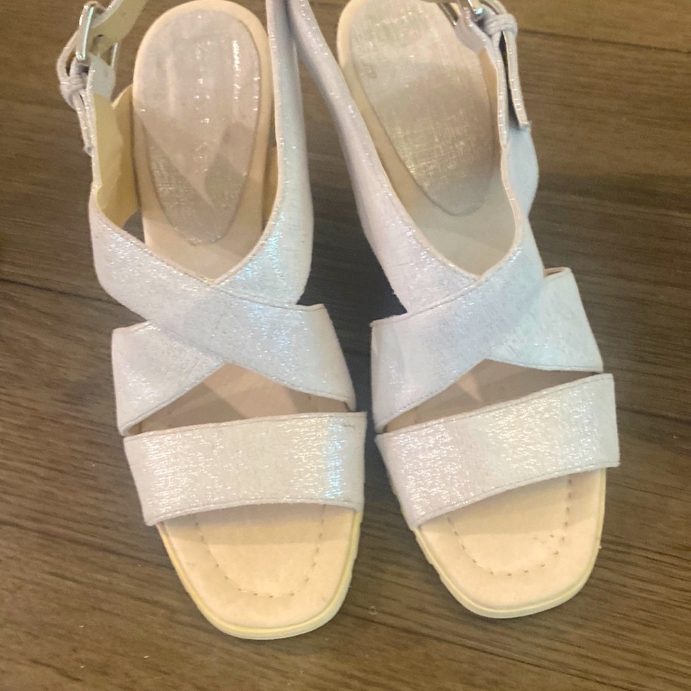 Donald J Pilsner Brevos Wedge Sandal in Silver. Size 9.5
